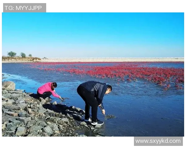 青春足球明星的追梦之路与无法回归的时光记忆